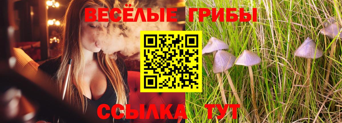 Павлово  Псилоцибиновые грибы Cubensis  Псилоцибиновые грибы Psilocybine cubensis  Вход с VPN 