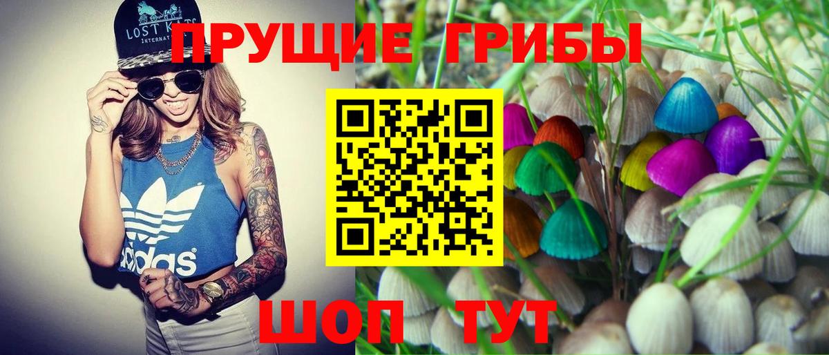 Галлюциногенные грибы Psilocybe Павлово
